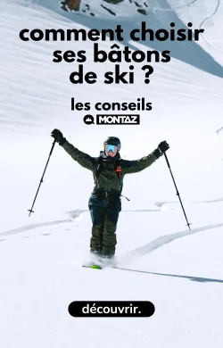 guide,bâtons,ski