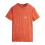 PICTURE ORGANIC Gesk Tee /orange rust