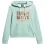 SUPERDRY 70' Retro Font Graphic Hoodie /sage green marl