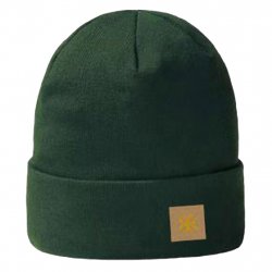 Acheter AYAQ Hagen Bonnet Chaud 100% Merinos /deep vert