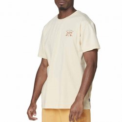 Acheter PICTURE ORGANIC Surfood Tee /bois ash