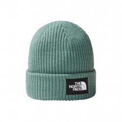 Acheter THE NORTH FACE Salty Dog Beanie /foncé sage