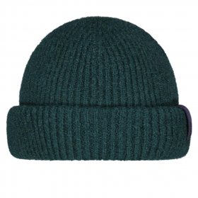 BARTS Banxs Beanie /bottle vert