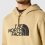 THE NORTH FACE Drew Peak Pullover Hoodie /kaki stone