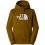 THE NORTH FACE Drew Peak Pullover Hoodie /moss vert