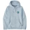 PATAGONIA Unity Fitz Uprisal Hoody /chilled blue