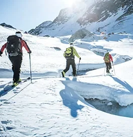 Marque - fischer (ski de rando)